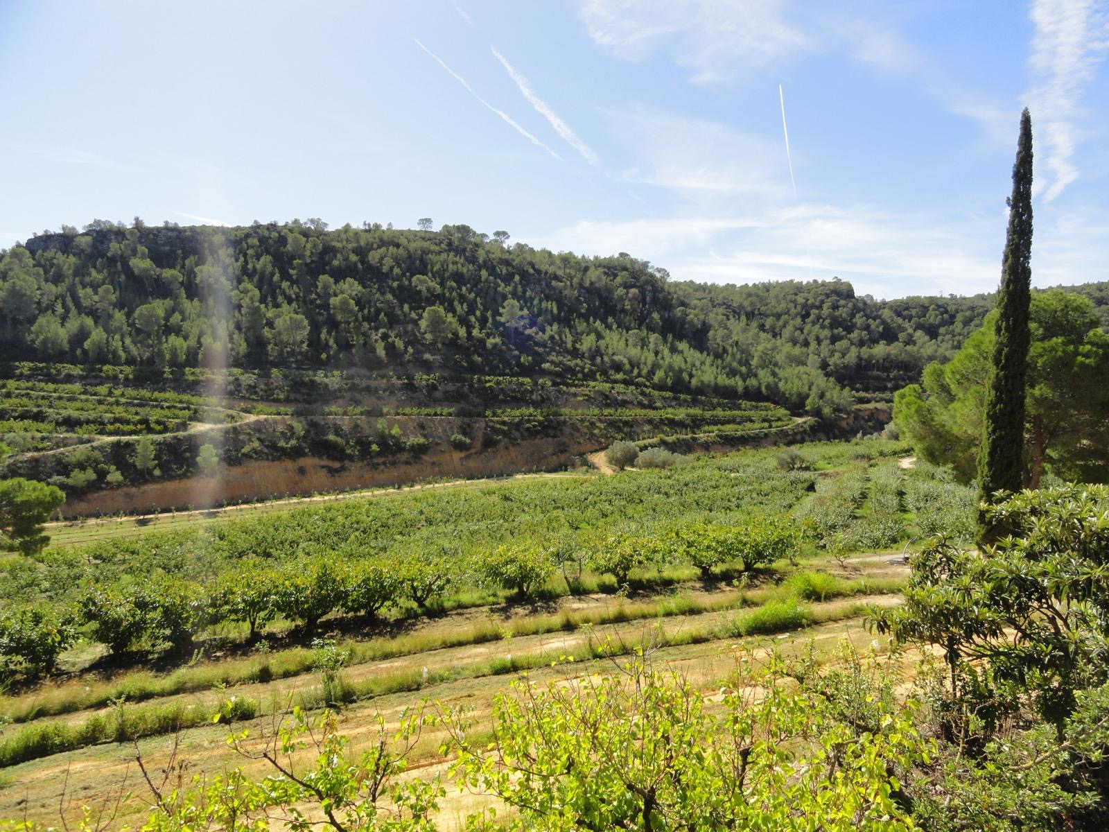 Finca familiar Les Aixugueres.